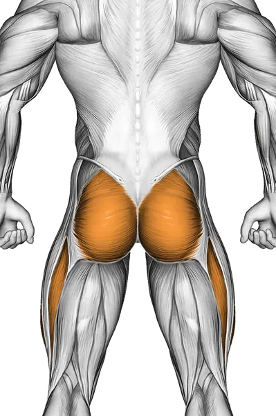 Cocoons — Muscles worked: Core, Glutes, Quadriceps (Back)