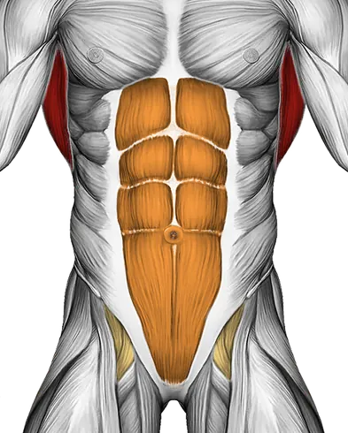 Standing Lateral Stretch — Muscles worked: Lats, Core, Lower back (Front)