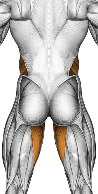 Band Jack Knife Sit-Up — Muscles worked: Core, Obliques, Abductors, Adductors (Back)