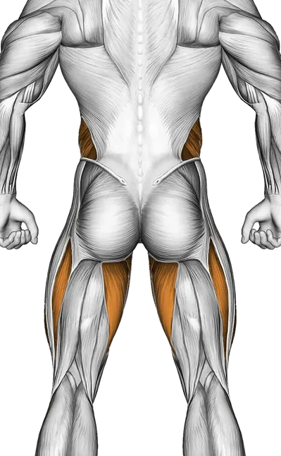 Frog Crunch — Muscles worked: Core, Obliques, Abductors, Quadriceps, Adductors (Back)