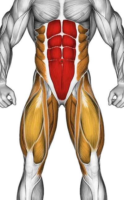 Frog Crunch — Muscles worked: Core, Obliques, Abductors, Quadriceps, Adductors (Front)