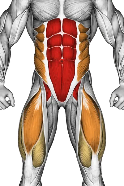 Weighted Captains Chair Leg Raise — Muscles worked: Core, Obliques, Quadriceps (Front)
