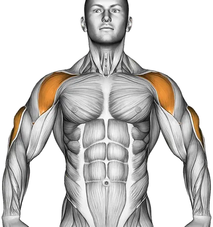Dumbbell One Arm Triceps Extension (on Bench) — Muscles worked: Triceps, Front delts (Front)