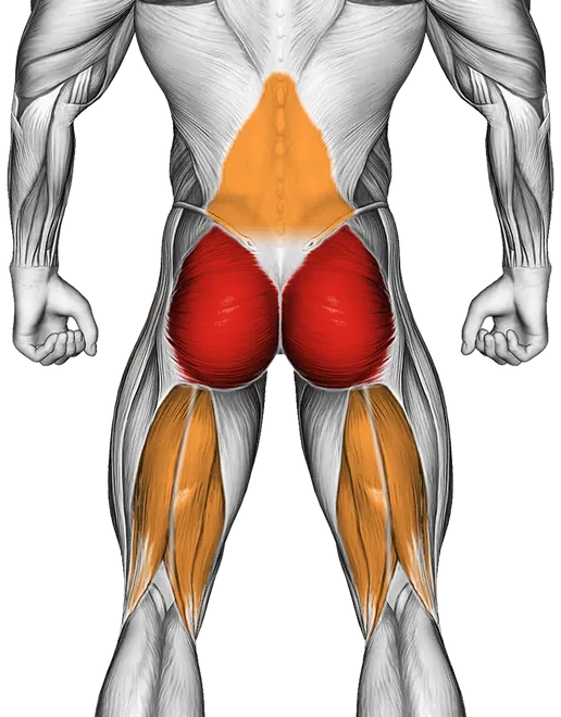 Swimmer Kicks (Version 2) — Muscles worked: Glutes, Lower back, Hamstrings