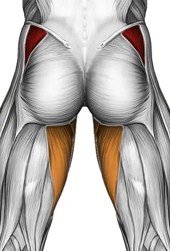 Roll Hip Stretch — Muscles worked: Abductors, Adductors (Back)