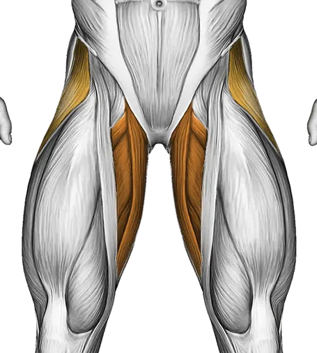 Roll Hip Stretch — Muscles worked: Abductors, Adductors (Front)